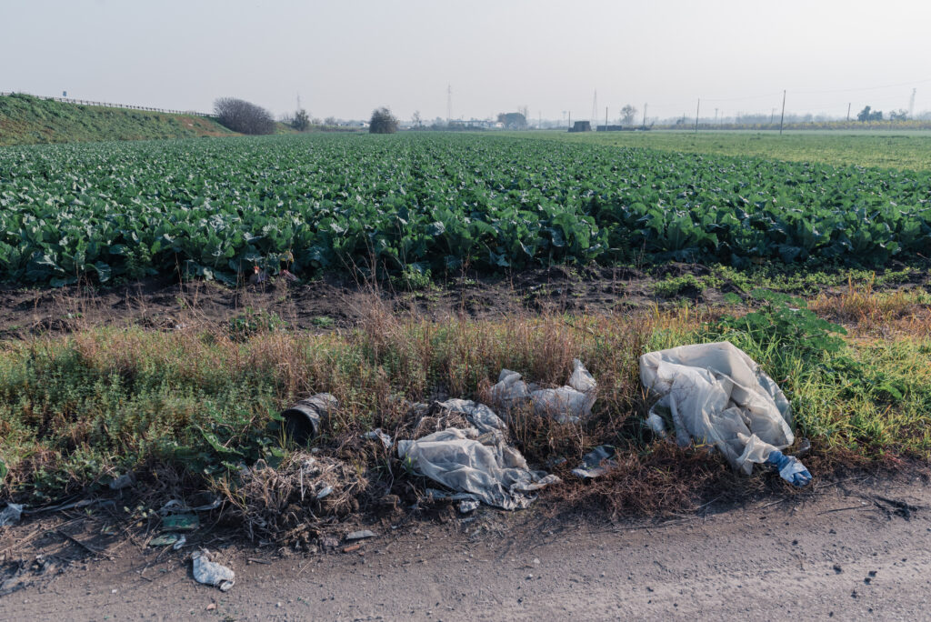 Campo coltivato adiacente la discarica abusiva Calabricito, Acerra (NA). Foto di Gianni Oliva per Cittadini Reattivi