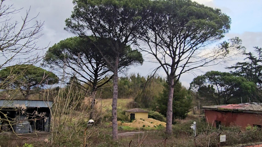 Ex Polveriera, zona Stazione di Anagni (Fr)