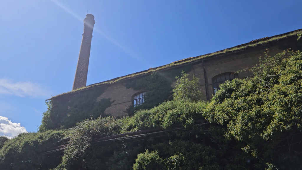 Ex Caffaro Colleferro (Rm). Foto di Elisa Rossi per Cittadini Reattivi