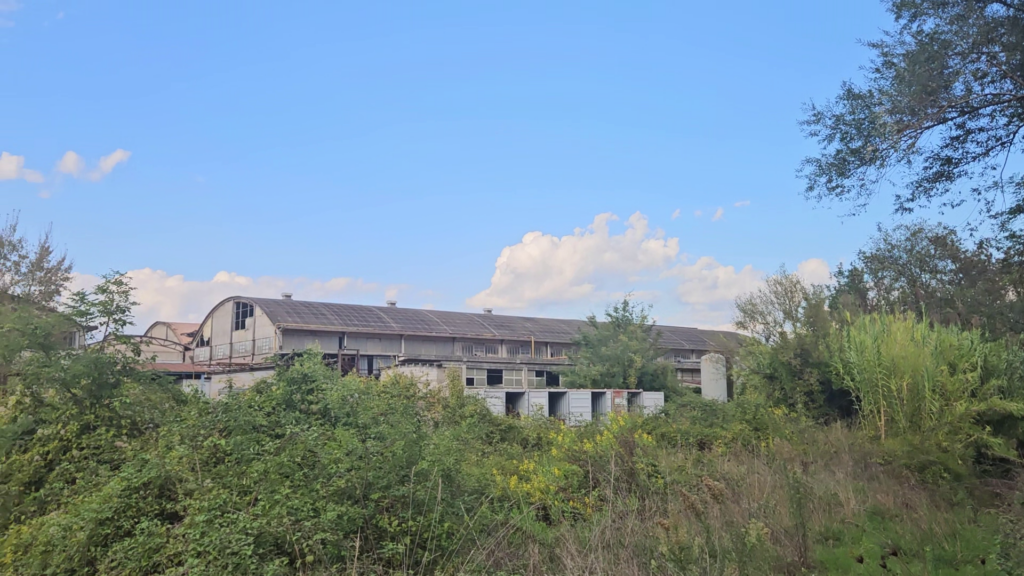 Ex Industrie Olivieri Ceprano (Fr)